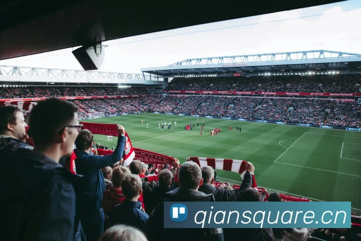 开云app官方入口网页版发展历程